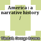America : a narrative history /