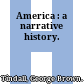 America : a narrative history.