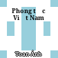 Phong tục Việt Nam