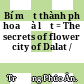 Bí mật thành phố hoa Đà lạt = The secrets of flower city of Dalat /