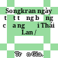 Songkran ngày tết tưng bừng của người Thái Lan /