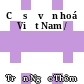 Cơ sở văn hoá Việt Nam /