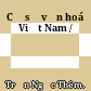 Cơ sở văn hoá Việt Nam /