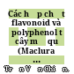 Các hợp chất flavonoid và polyphenol từ cây mỏ quạ (Maclura cochinchinensis) /