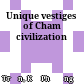 Unique vestiges of Cham civilization