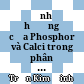ảnh hưởng của Phosphor và Calci trong phân Phosphat Tricalci trên sự sinh trưởng và năng suất của lúa IR-20