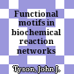 Functional motifs in biochemical reaction networks /