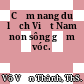 Cẩm nang du lịch Việt Nam non sông gấm vóc.