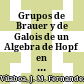Grupos de Brauer y de Galois de un Algebra de Hopf en una Categoría Cerrada /