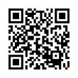 QR Code (код быстрого отклика)