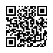 QR Code (код быстрого отклика)