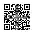 QR Code (код быстрого отклика)