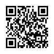 QR Code (код быстрого отклика)