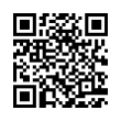 QR Code (код быстрого отклика)