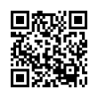 QR Code (код быстрого отклика)