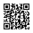 QR Code (код быстрого отклика)