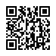 QR Code (код быстрого отклика)