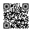 QR Code (код быстрого отклика)