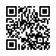 QR Code (код быстрого отклика)