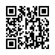 QR Code (код быстрого отклика)