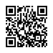 QR Code (код быстрого отклика)