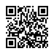 QR Code (код быстрого отклика)