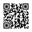 QR Code (код быстрого отклика)