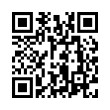 QR Code (код быстрого отклика)