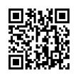 QR Code (код быстрого отклика)