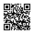 QR Code (код быстрого отклика)