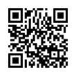 QR Code (код быстрого отклика)