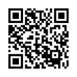 QR Code (код быстрого отклика)