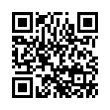 QR Code (код быстрого отклика)