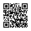 QR Code (код быстрого отклика)