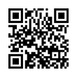 QR Code (код быстрого отклика)