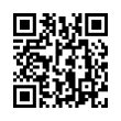 QR Code (код быстрого отклика)