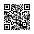 QR Code (код быстрого отклика)