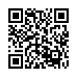 QR Code (код быстрого отклика)