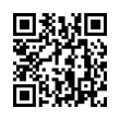 QR Code (код быстрого отклика)