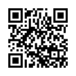 QR Code (код быстрого отклика)