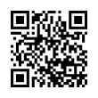 QR Code (код быстрого отклика)