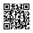 QR Code (код быстрого отклика)