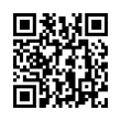 QR Code (код быстрого отклика)