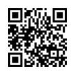 QR Code (код быстрого отклика)