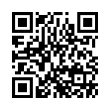 QR Code (код быстрого отклика)