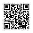 QR Code (код быстрого отклика)