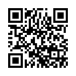 QR Code (код быстрого отклика)