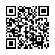 QR Code (код быстрого отклика)