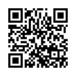 QR Code (код быстрого отклика)