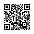 QR Code (код быстрого отклика)